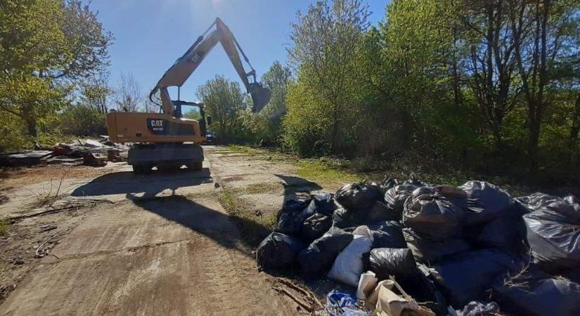 19 kamionnyi hulladéktól szabadultak meg a pilisi erdők