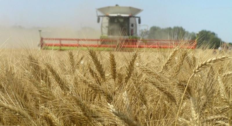 Több mint 800 ezer agrártámogatási kérelmet nyújtottak be a romániai gazdák
