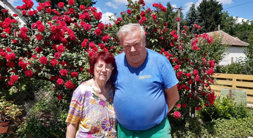 Segített a nyugdíjas cseszneki házaspárnak a védettséget igazoló applikáció