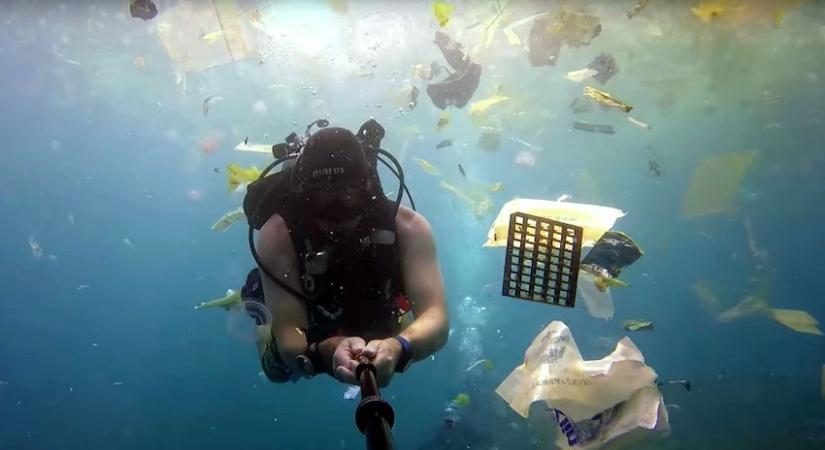 Ökológia: Műanyag hulladékban fuldokló óceánok