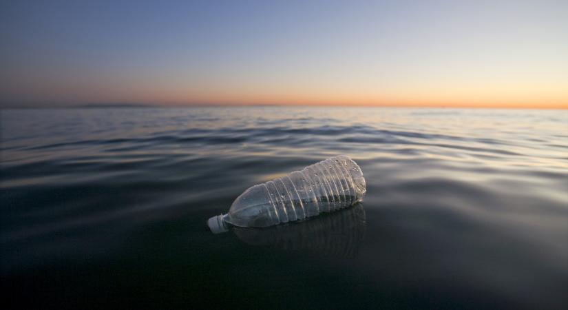 Műanyaghulladékon keresztül szelik át az óceánt az invazív fajok