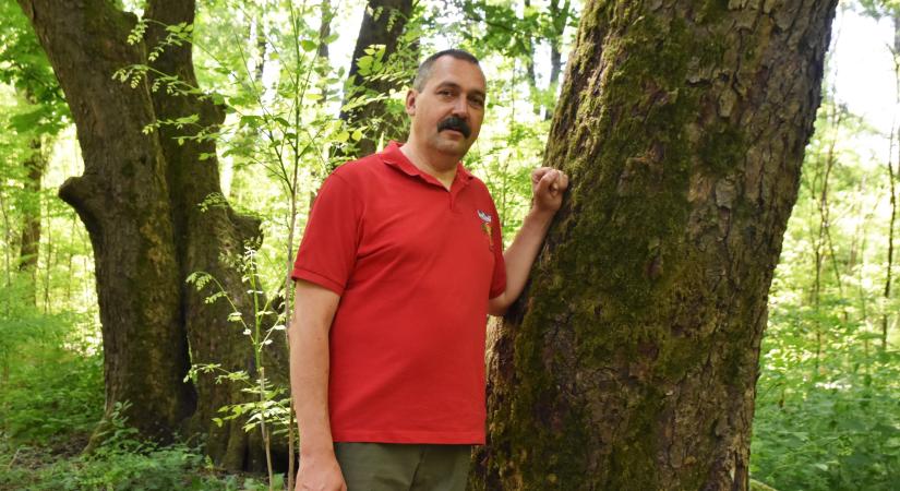 Vörösmarty is üldögélt az újszászi bújtatott vadgesztenyefa alatt