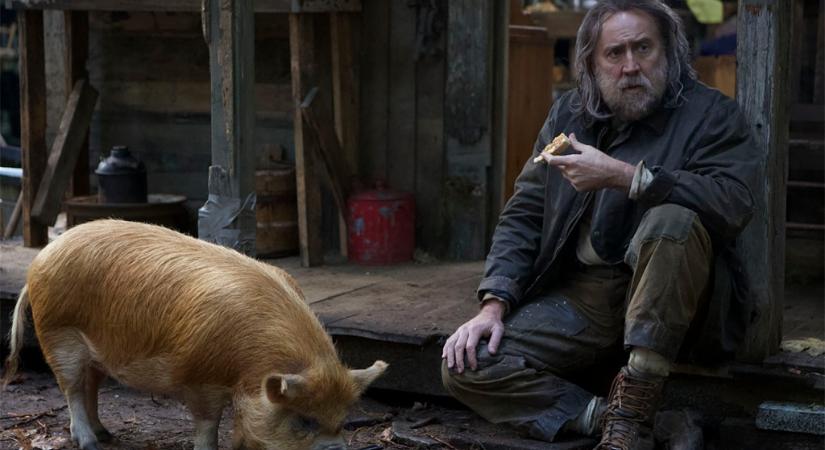 Pig előzetes: Nicolas Cage újabb őrült filmjében bepörög, mert eltűnt a kedvenc disznója