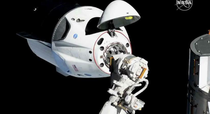 Nem csak a két asztronauta utazott a SpaceX űrhajójának fedélzetén