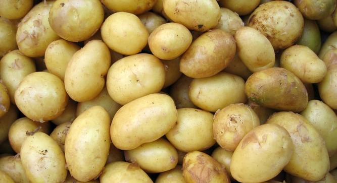 Ízletes sültkrumpli? Krémes krumplipüré? Így válassz burgonyát!
