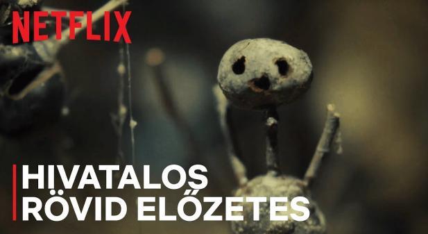 Hátborzongató pszichothriller-sorozat érkezik a Netflixre