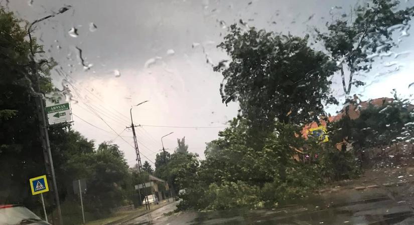 Pécset és környékét megtépázta a szerda esti vihar