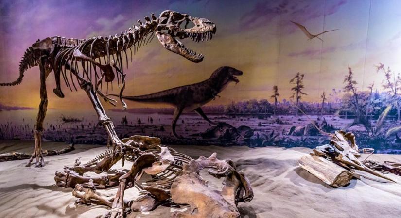 Olyan dinoszaurusz maradványaira bukkantak, mely áttétes csontrákban szenvedhetett