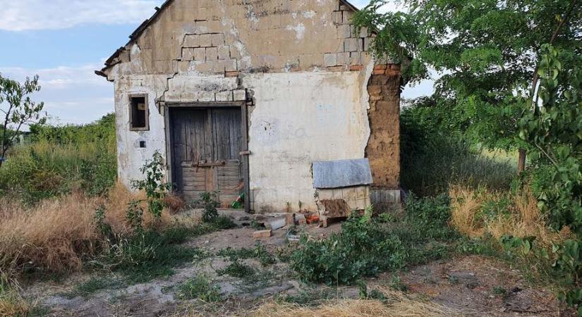 Holttestre bukkantak egy lakatlan ház mögött Mezőfalva-Szőlőhegyen