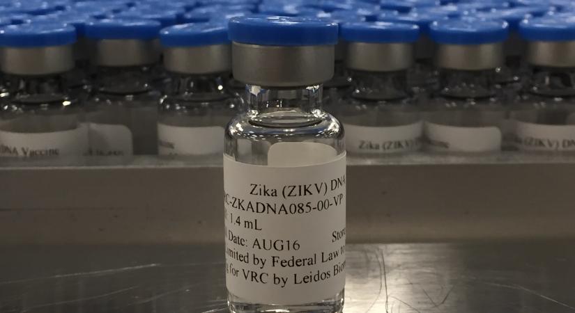 Egy 24 éves állapotos nő fertőződött meg Zika-vírussal Indiában