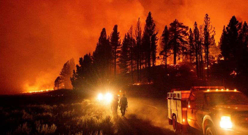 2021 legnagyobb erdőtüze tombol Kaliforniában, a Plumas Nemzeti Parkban (képek)