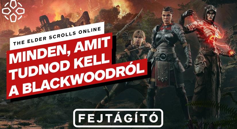 VIDEÓ: Minden, amit tudnod kell a The Elder Scrolls Online: Blackwoodról