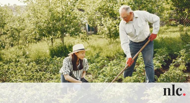 A kertészkedés tiszta sport: ennyi kalóriát égethetsz el a kerti munkával