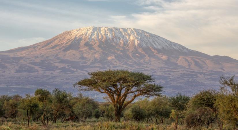 Betiltották a fakitermelést a Kilimandzsáró környéki erdőkben
