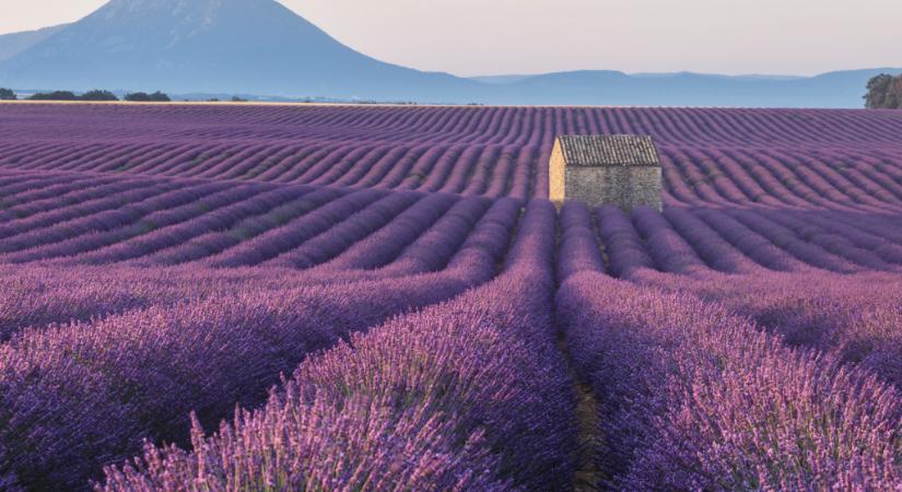 Távvakáció: képzeletben Provence csodálatos vidékén