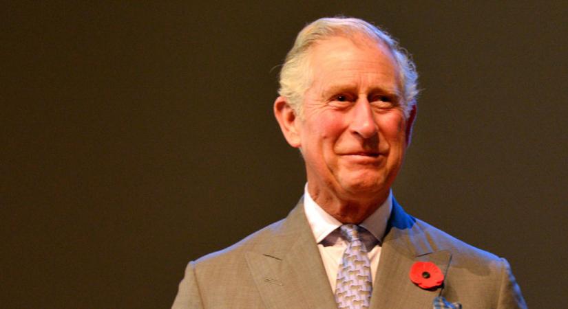 Károly herceg nem bír magával: teljesen kisemmizné a királyi család egy tagját