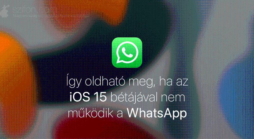 Így oldható meg, ha az iOS 15 bétájával nem működik a WhatsApp