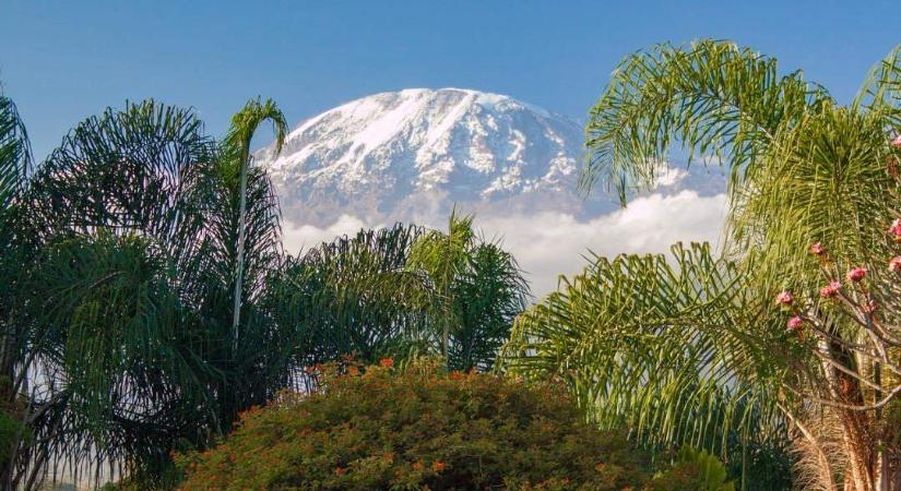 Betiltották a fakitermelést a Kilimandzsárónál lévő erdőkben