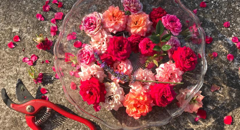 6 csodaszép, virágos dekoráció a kert ajándékaiból