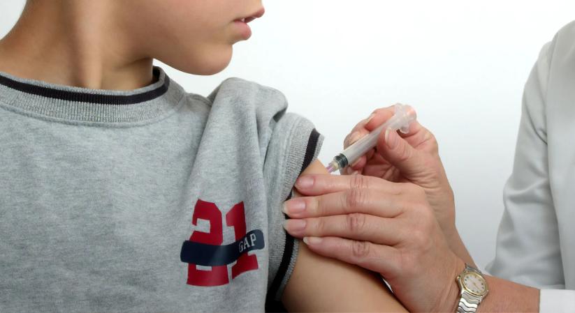 Rusvai Miklós virológus: Az influenza elleni oltásokat is keverik, amiről szintén nincs sok klinikai tapasztalat
