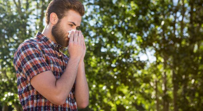 Már júliusban allergiás tüneteket okozhat a parlagfű