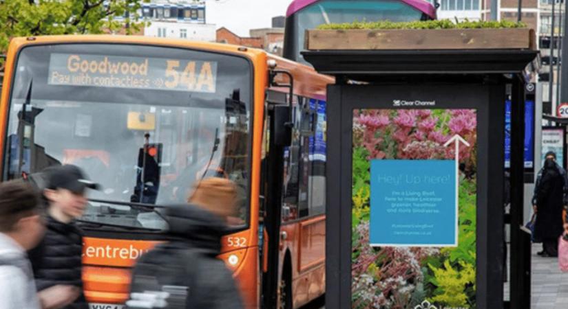 Növényzet a buszmegállók tetején: helyzetjelentés Leicester utcáiról