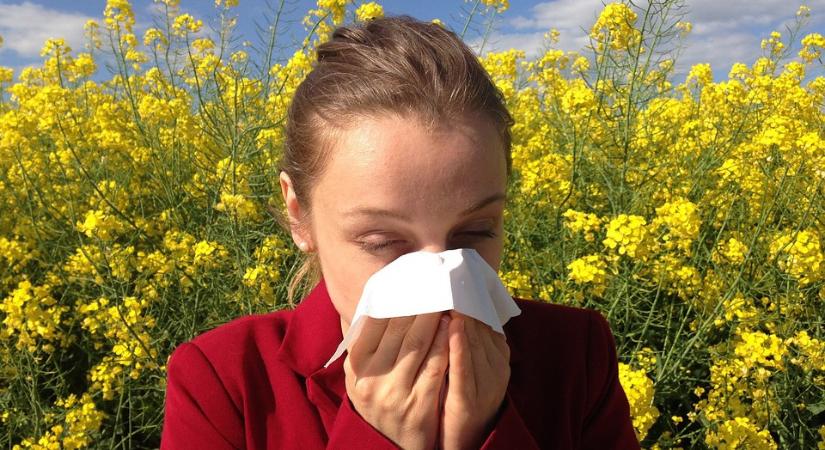 Rossz hír a parlagfű-allergiásoknak - a szezonkezdet a kisebbik baj