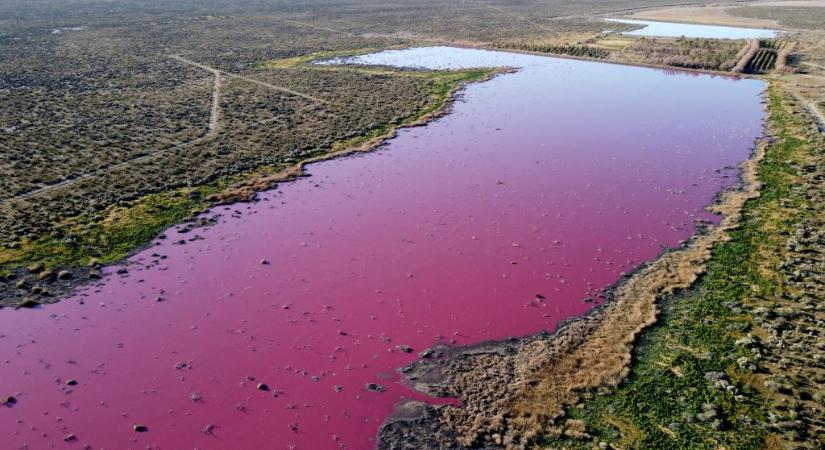 Szennyezés miatt vált rózsaszínné egy patagóniai lagúna