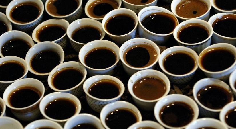 Napi hat kávénál több már árt az ember agyának
