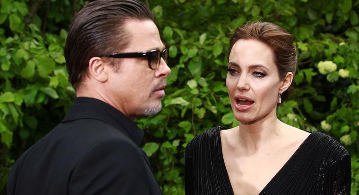 Angelina Jolie nyerésre áll, és ennek Brad Pitt-tel közös rozéjuk ihatja meg a levét