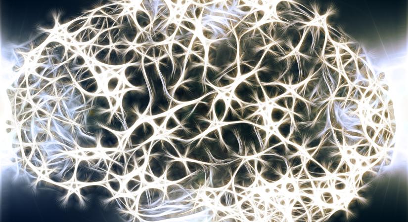 Hogyan működik egy neuron-hálózat, amiről a neurálisat mintázzák?