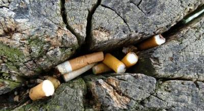 Döbbenetes mennyiségű cigarettacsikk nem a kukában landol