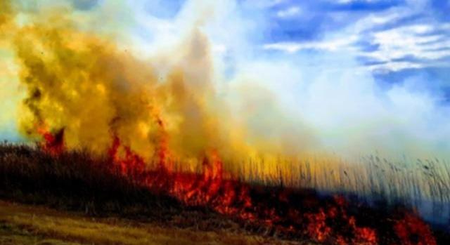 Ötven hektáron égett a tarló Pest megyében