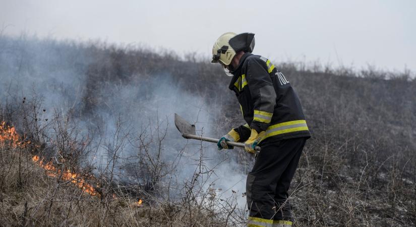 Kétszáz hektáron égett a tarló Pest megyében