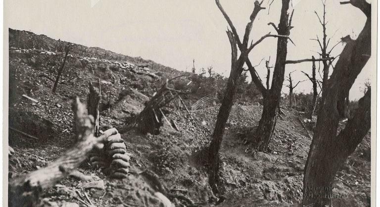 Tízezer sosem látott első világháborús és erdélyi fotó került fel a netre