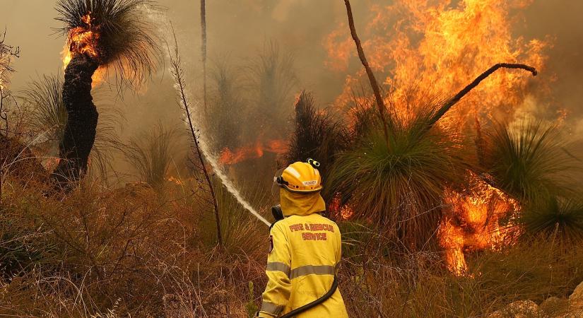 2020 legnagyobb hatású jelensége a klímaváltozásra: az ausztrál bozóttüzek