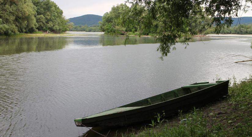 Tömegesen pusztulnak a halak a Duna egyik mellékfolyóján