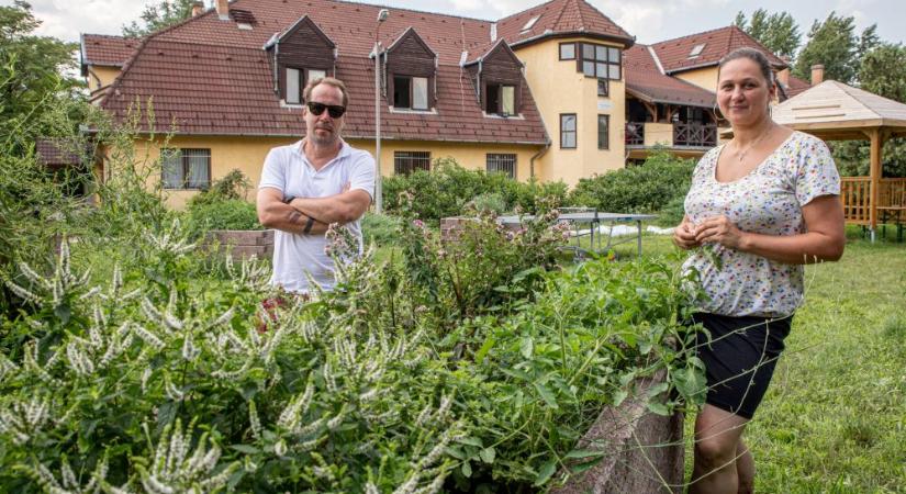 Szabadidőparkot, kicsi kertészetet hozott létre a Budapest Bike Maffia egy külvárosi hajléktalanszálló udvarán