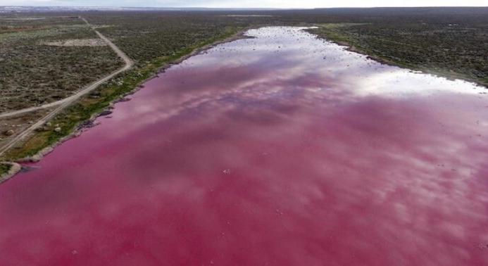 A lagúna, ami rózsaszínné változott