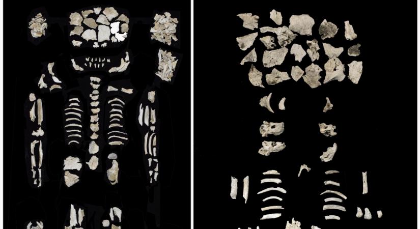 Ikrekkel terhes bronzkori nő sírjára bukkantak Szigetszentmiklósnál