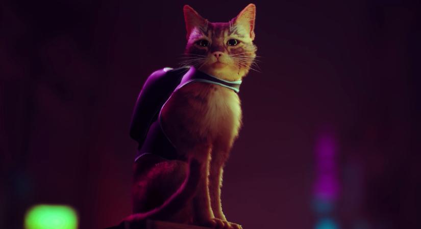 CICA!!! - Itt a Stray első játékmenet-előzetese, amiben egy macskával kalandozunk egy veszélyes sci-fi világban