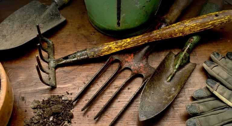 Ezek a szerszámok egy kertes házból sem hiányozhatnak: íme a legfontosabb eszközök