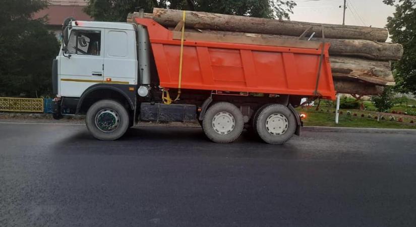 Illegálisan kivágott fát szállító járművet tartóztattak fel a Rahói járásban