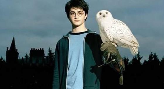 Vannak igazi rajongók: valaki 34 milliót fizetett egy Harry Potter kötetért