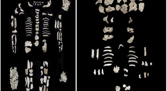 Ikermagzataival találták meg egy előkelő nő bronzkori maradványait Szigetszentmiklós közelében