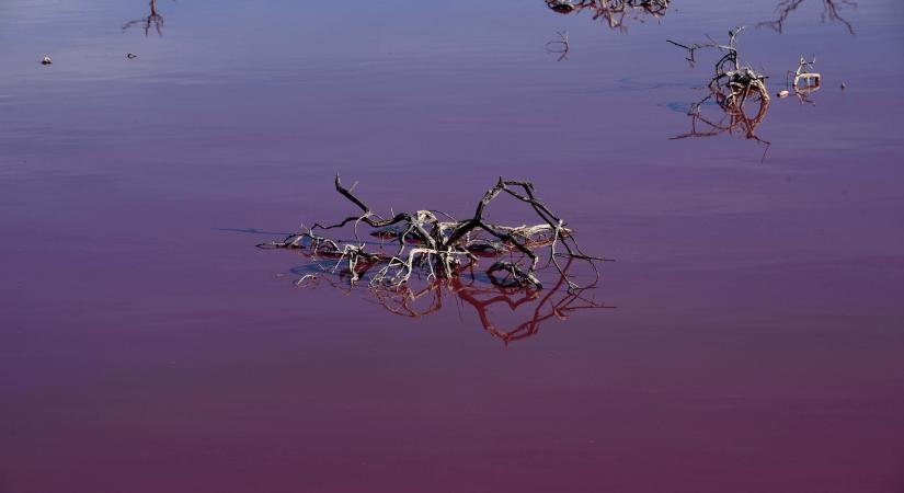 Bizarr rózsaszínű víz borzolja az argentin kedélyeket