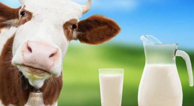 Miért kerül ennyibe egy liter tej?
