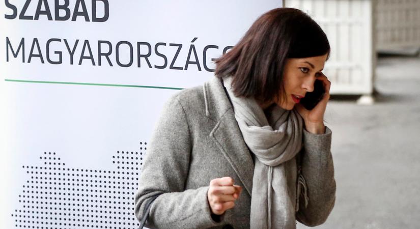 Videóban göngyölítették fel Cseh Katalinék céghálóját