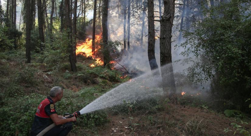 Bozóttüzek pusztítanak Törökországban és Olaszországban