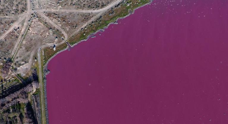 Rózsaszínű lett két tó Argentínában
